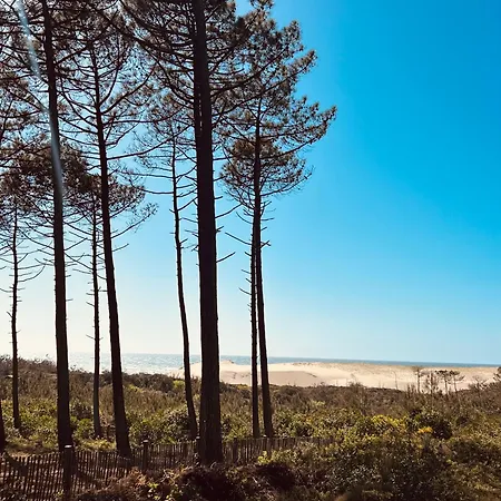 Bergerie Sur Airial Landais Casa de Férias